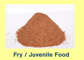 Fry / Juvenile Food