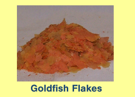 Goldfish Flakes