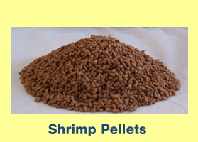Shrimp Pellets