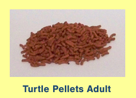 Turtle Pellets - Adult