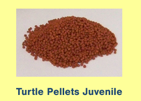 Turtle Pellets - Small / Juvenile