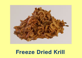 Freeze Dried Krill
