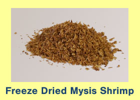 Freeze Dried Mysis Shrimp